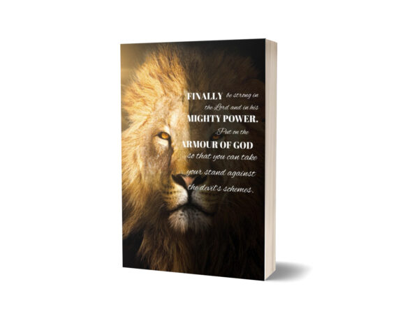 Journal - Armour of God