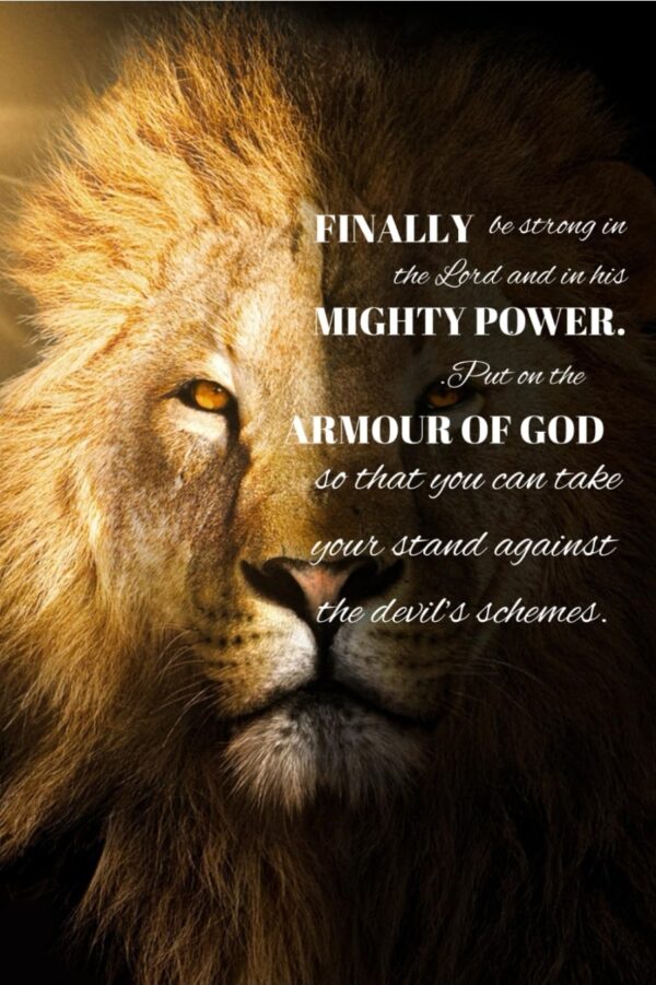 Journal - Armour of God